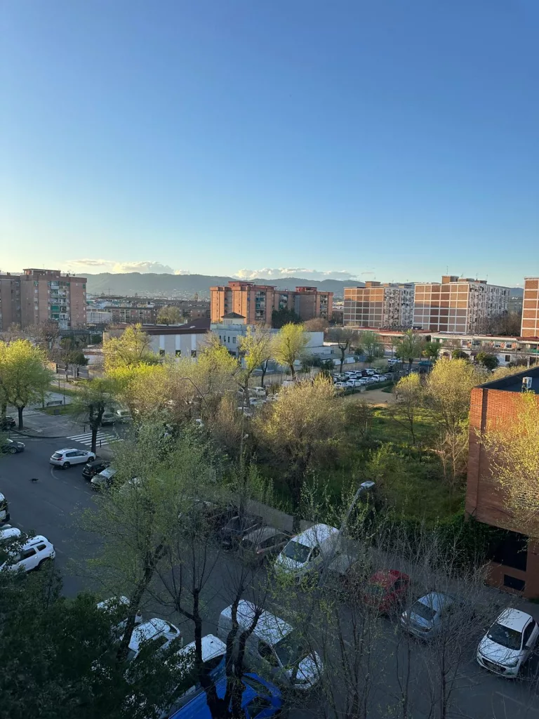 WhatsApp Image 2026 03 12 at 18.57.07