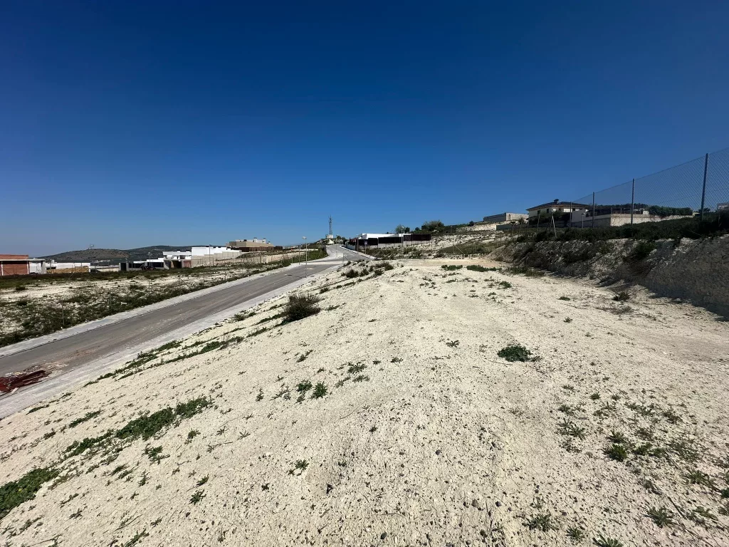 WhatsApp Image 2026 03 26 at 12.44.13