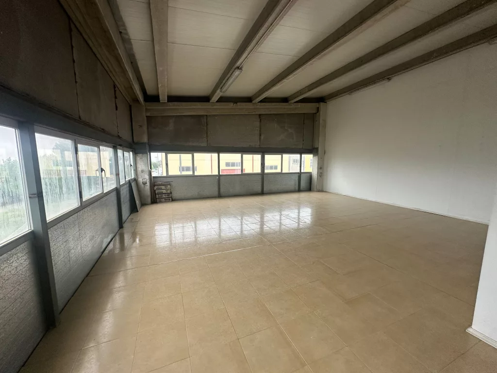 2e8aee8c ad09 4a24 8b2f 2449425df4d4